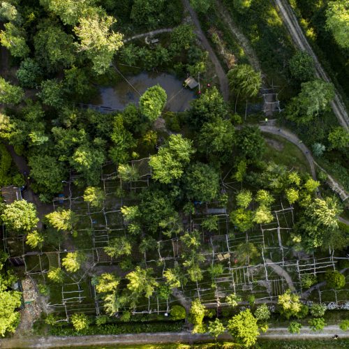 DJI_0016AA